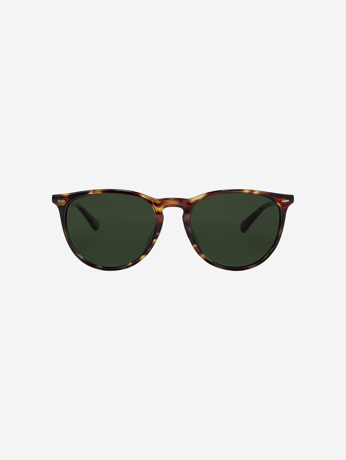 Classic Wayfarer Sunglasses