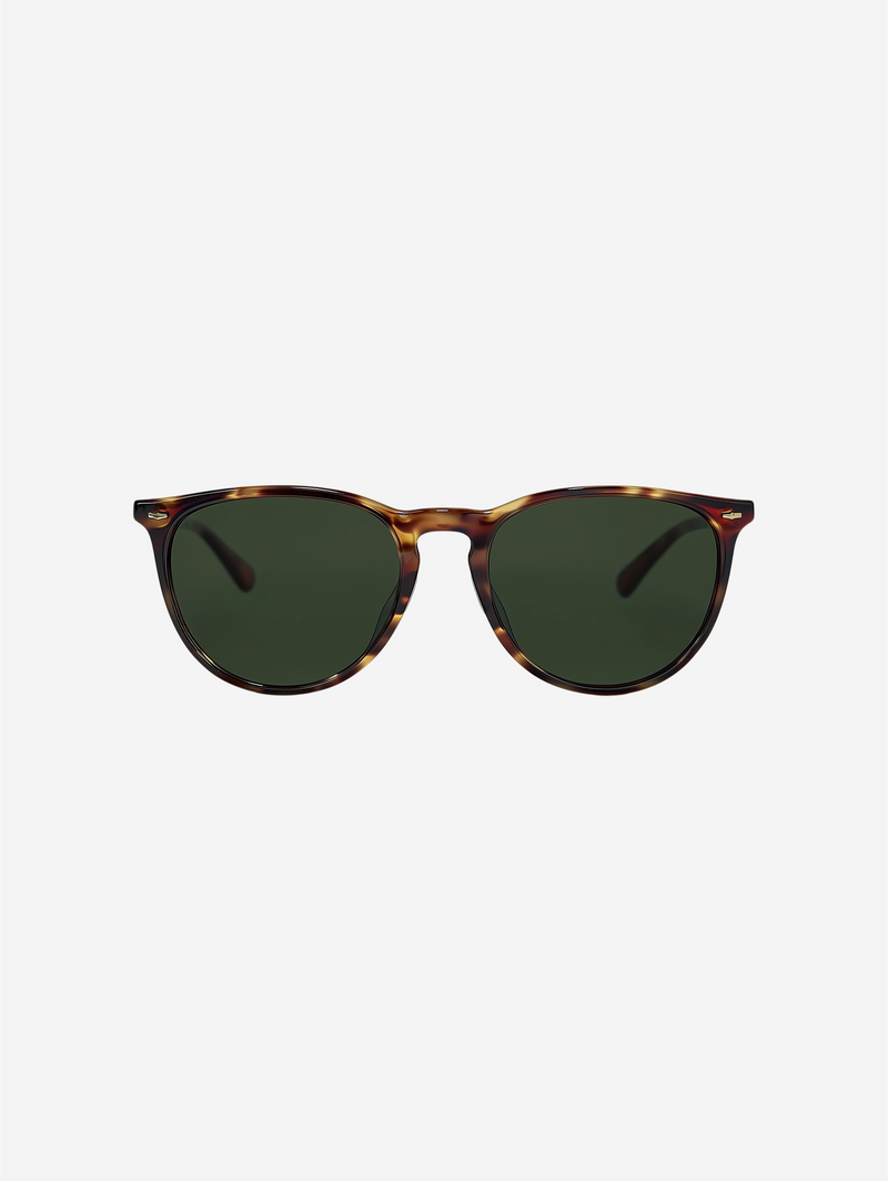 Classic Wayfarer Sunglasses-1